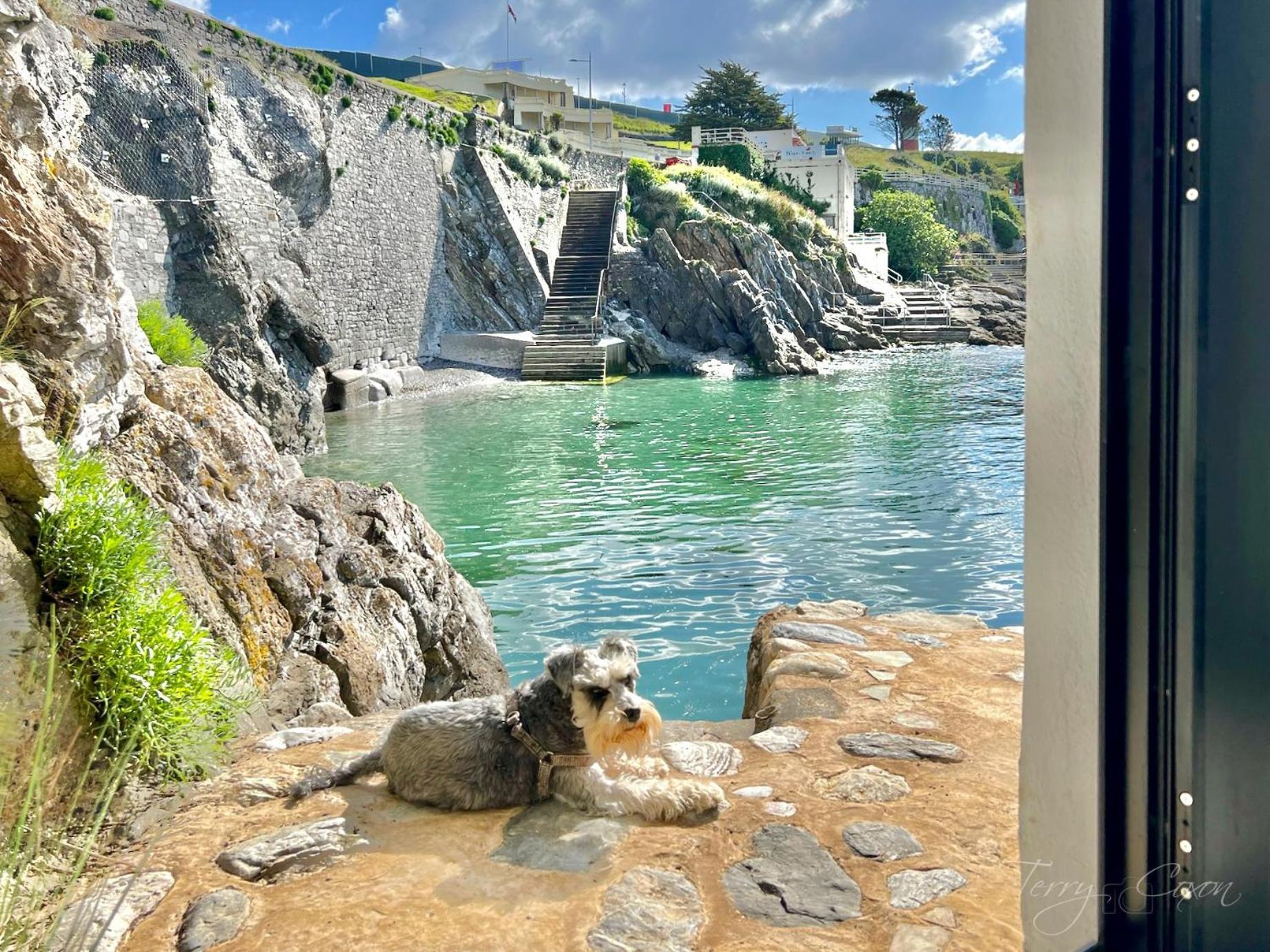 Seafront Cottage - Beach Access - Pet Friendly Plymouth Esterno foto